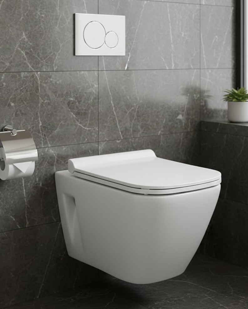 Wall-Hung Rimless EWCs